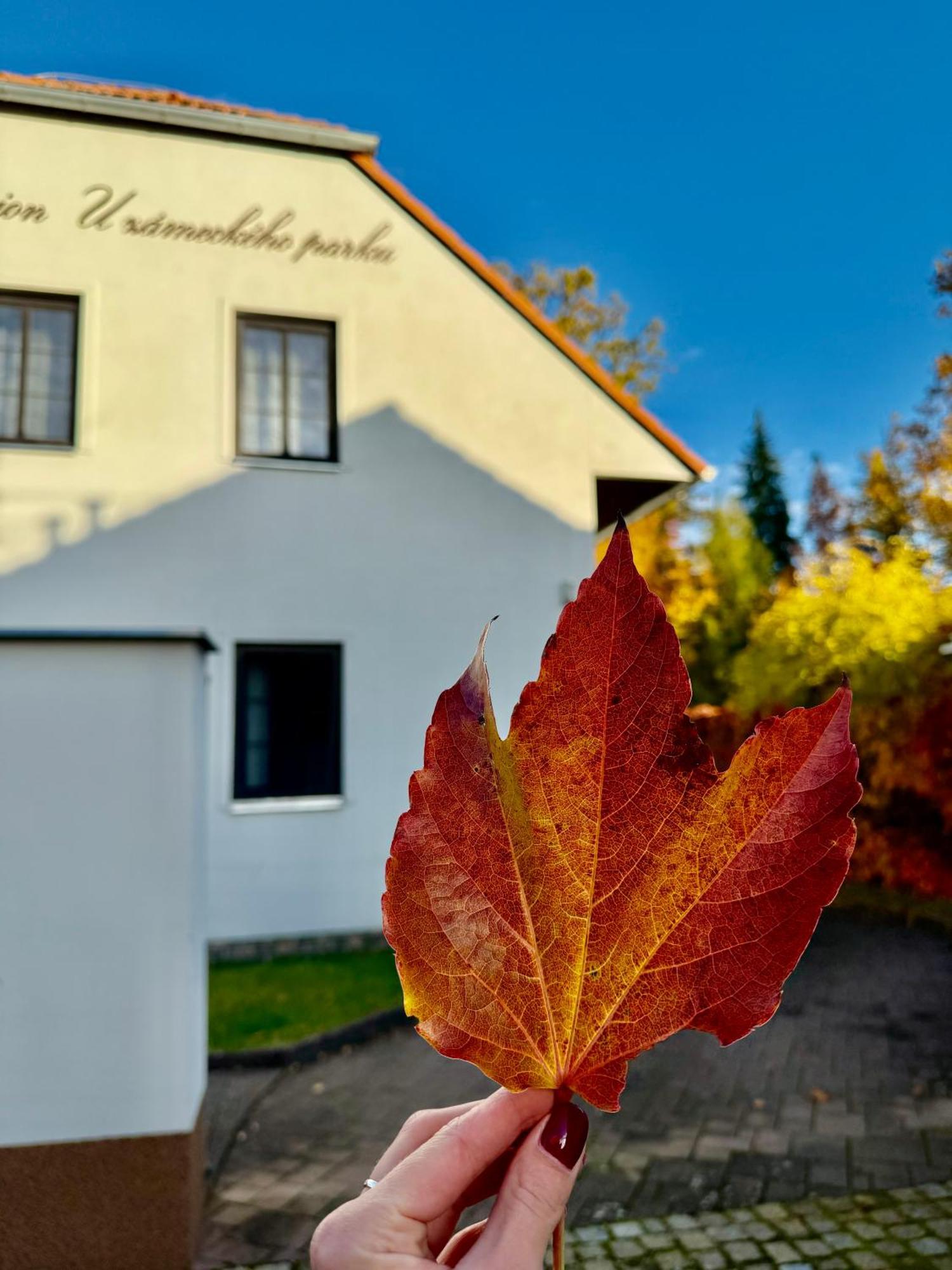 Penzion U Zameckeho Parku Třeboň Exteriör bild